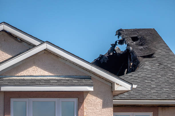 Licensed Fire Damage Removal service in Oldsmar, FL - Fire Damage Laser Cleaning